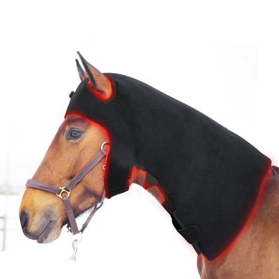Beli Terapi Cahaya Inframerah Horse Lamp Pdt Led Light Machine Untuk Menghilangkan Rasa Sakit pembuatan online
