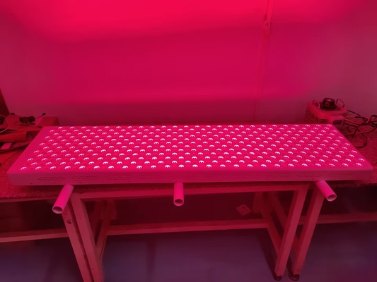 Beli Panel Terapi Merah 3000W LED Waktu PDT 660nm 850nm Perangkat Terapi Lampu Merah pembuatan online