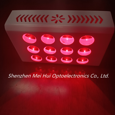 Beli Mesin Terapi Lampu Merah PDT 40W Anti Aging Mengurangi Peradangan pembuatan online