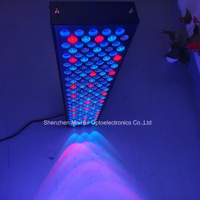 Beli NIR Light Red Light Peralatan Terapi Kulit Untuk Penggunaan Rumah 1000W Spektrum 9 Warna pembuatan online