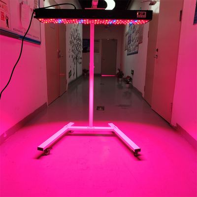 Beli 300-6000W Infrared PDT Light Therapy Device OEM/ODM 8 Wavelengths Model Full Body Use pembuatan online