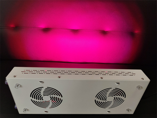 Beli Perawatan Tubuh 600w Perangkat Terapi Cahaya Merah Spektrum Nir Merah Penyesuaian untuk Kulit Bersih pembuatan online