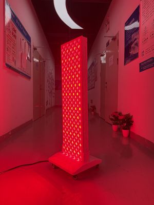 Beli High Power 2000W Red + Near Infrared Light Panel – OEM Factory with Pulse Mode & Brightness Control pembuatan online