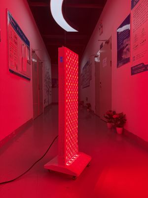Beli OEM Factory Supply 2000W Red Light Therapy Panel – 630/660/810/830/850nm Wavelength Options pembuatan online