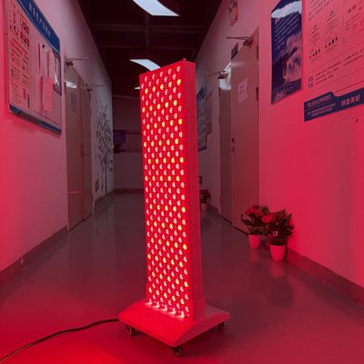 Beli Panel Full Body 2000W 5w 660nm 850nm Standing Modern Health Lampu Terapi Cahaya Merah pembuatan online