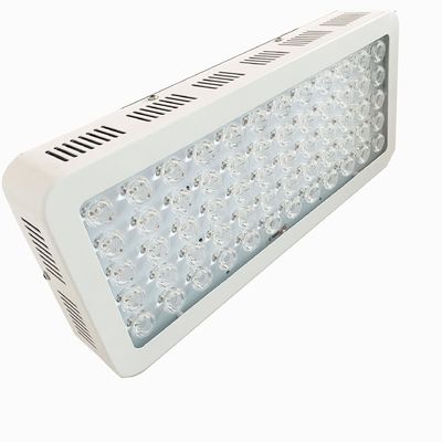 Beli NIR 850nm 300W Full Body Red Light Therapy Device Untuk Depresi pembuatan online