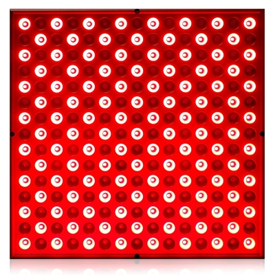 Beli Panel Terapi Lampu Merah LED 45W Inframerah 850nm Combo Untuk Mengencangkan Kulit pembuatan online