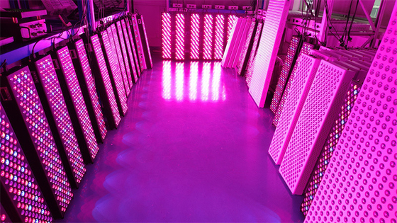 Panel Terapi Cahaya Merah Seluruh Tubuh 1000W Daya Tinggi dengan Rentang Frekuensi 50Hz-60Hz dan Sudut Sinar 60°