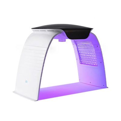 Portable 7 Colors Led Facial Machine Pdt Led Light Therapy Nano Water Spray Phototherapy Beauty Machine dengan Tegangan AC110-240V