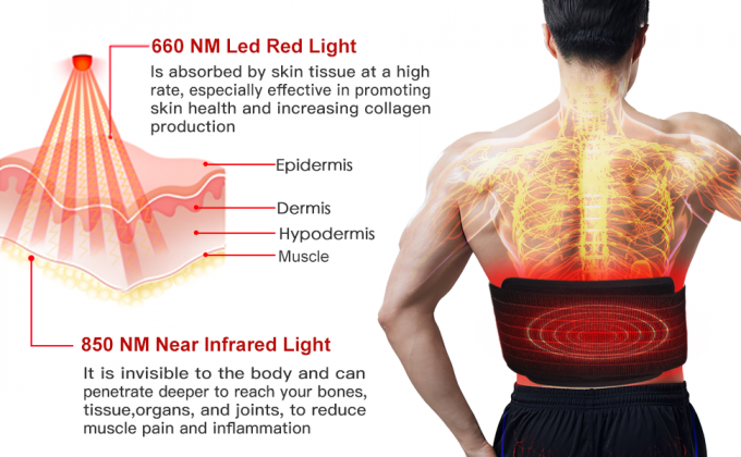 Penurunan Berat Badan 850nm Mesin Terapi Cahaya LED Inframerah Light Body Pad Wrap Belt 0