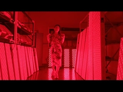 Panel terapi lampu merah 3000w