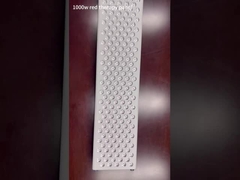 Panel terapi lampu merah 1000W